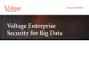Enterprise Security for Big Data